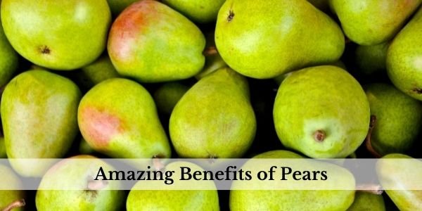 Read more about the article Benefits of Pears (Nashpati)